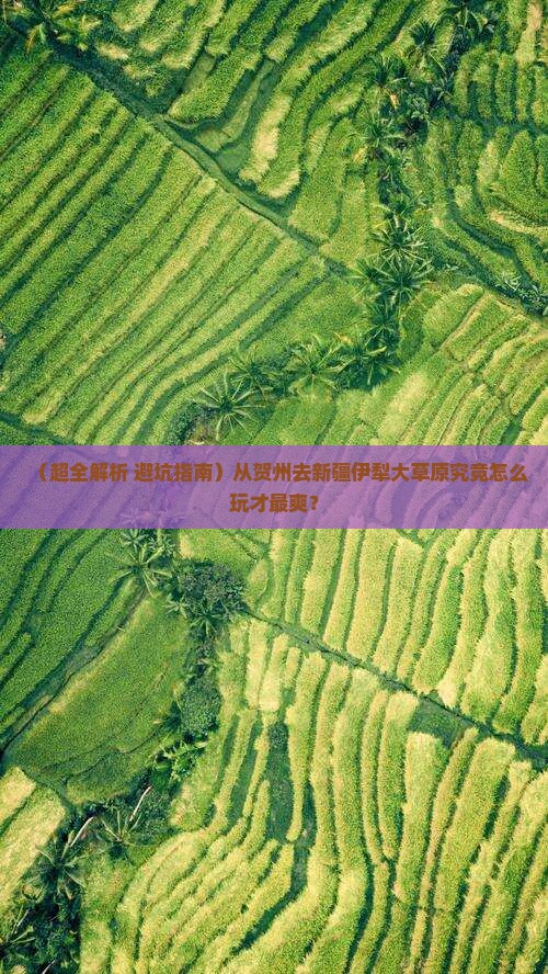 贺州到新疆伊犁大草原哪里玩