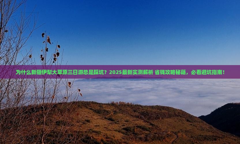 一月到新疆伊犁大草原三日游 一月到新疆伊犁大草原三日游
