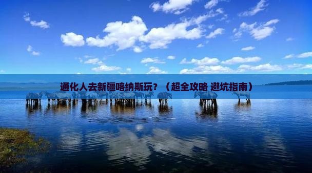通化去新疆喀纳斯哪里玩