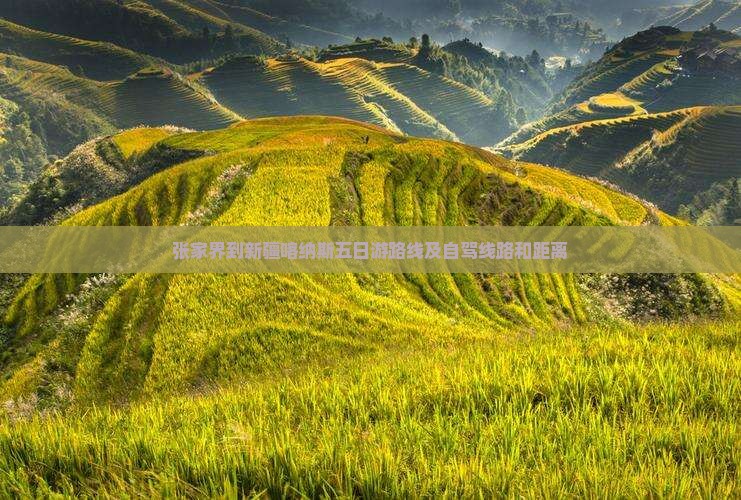 张家界到新疆喀纳斯五日游