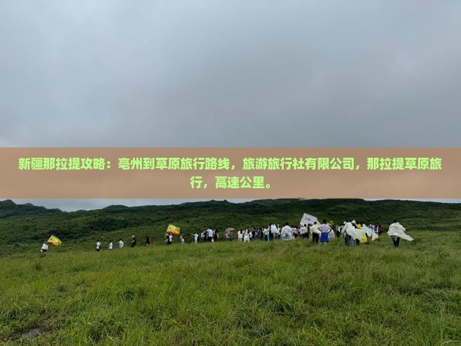 亳州去新疆那拉提旅行社