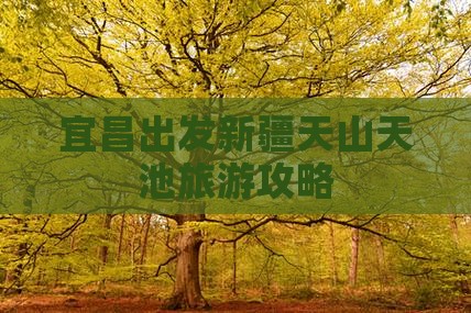 宜昌到新疆天山天池个人游
