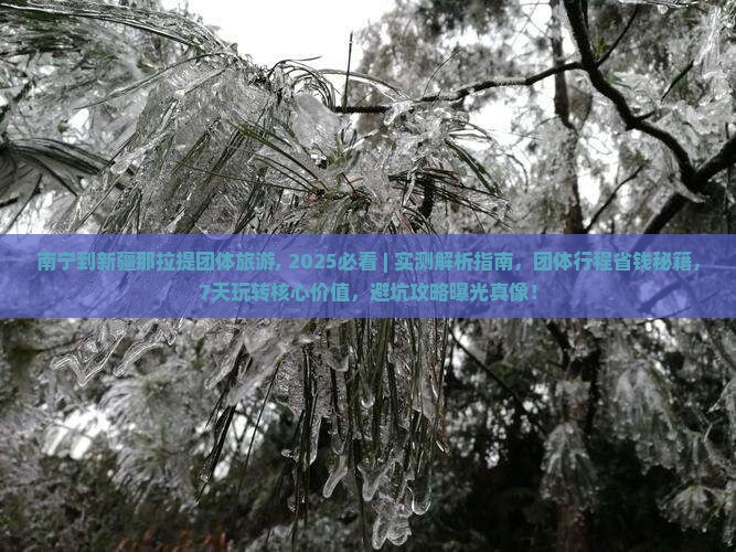 南宁到新疆那拉提团体旅游