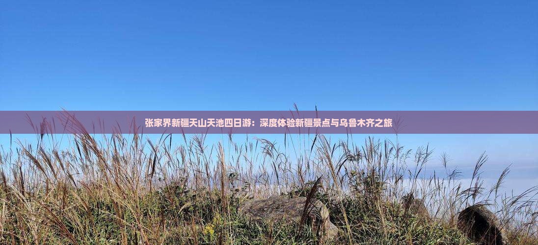 张家界到新疆天山天池四日游