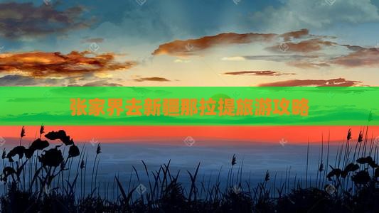 张家界去新疆那拉提景点