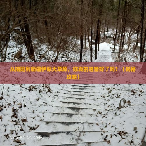 揭阳去新疆伊犁大草原旅游