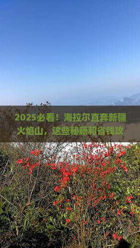 海拉尔去新疆火焰山哪里玩