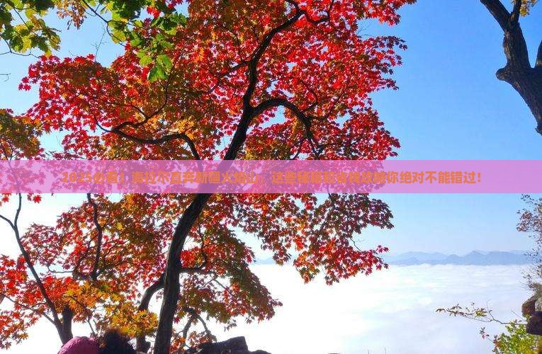 海拉尔去新疆火焰山哪里玩