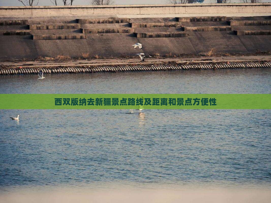 西双版纳去新疆景点