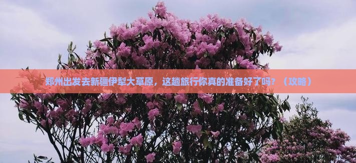 郑州到新疆伊犁大草原个人游