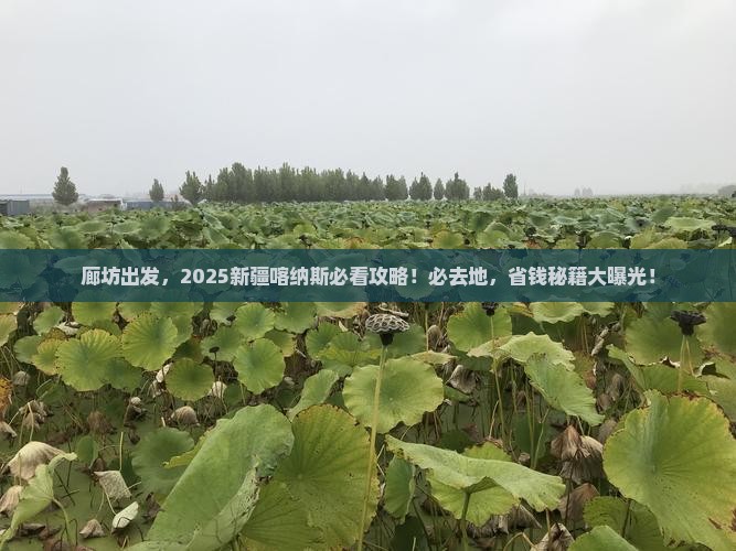 廊坊去新疆喀纳斯必去地