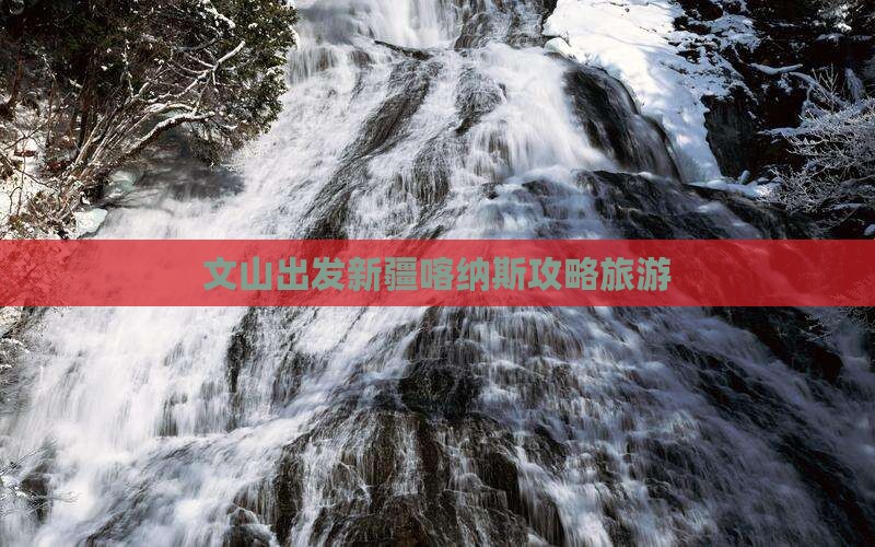 文山去新疆喀纳斯自由行