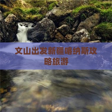 文山去新疆喀纳斯自由行