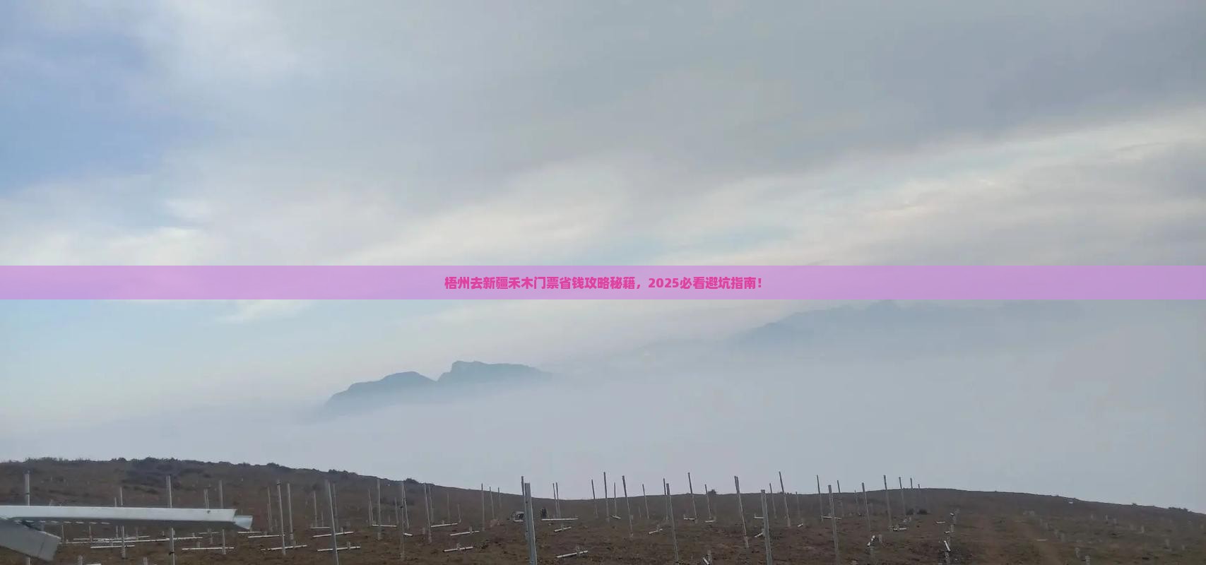 梧州去新疆禾木门票