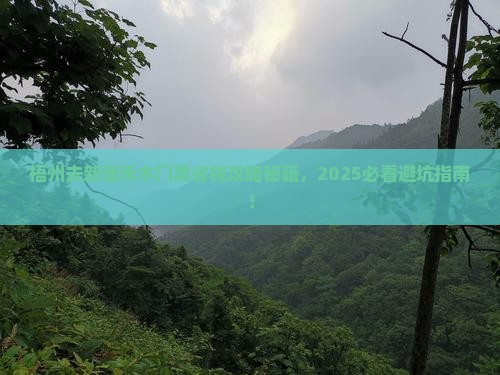 梧州去新疆禾木门票