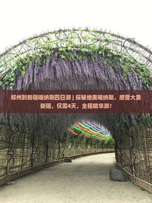 郑州到新疆喀纳斯四日游