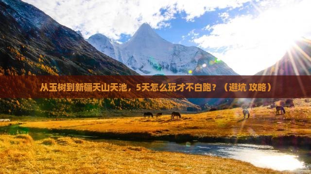 玉树到新疆天山天池哪里玩