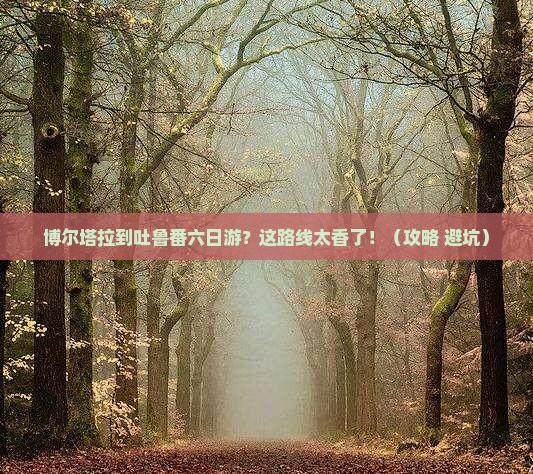 博尔塔拉到新疆吐鲁番六日游