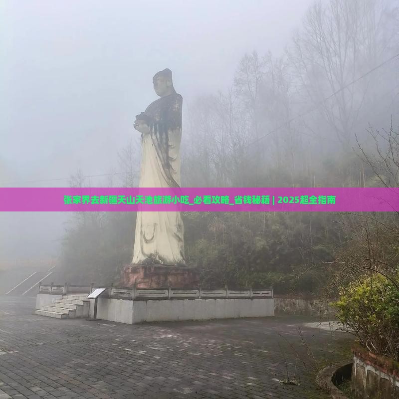 张家界去新疆天山天池旅游小吃