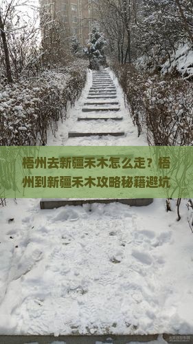 梧州去新疆禾木必去地
