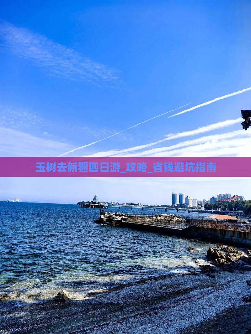 玉树去新疆四日游