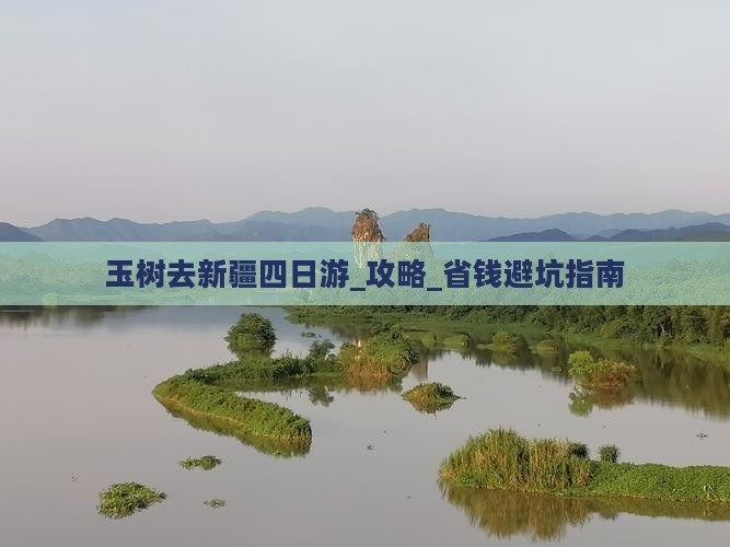 玉树去新疆四日游