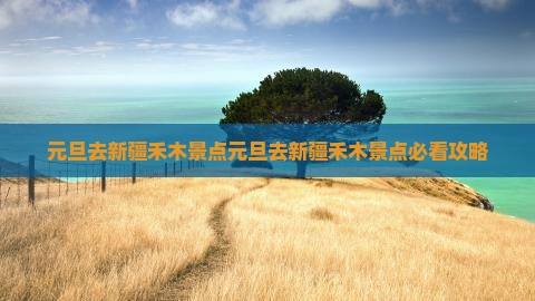 元旦去新疆禾木景点