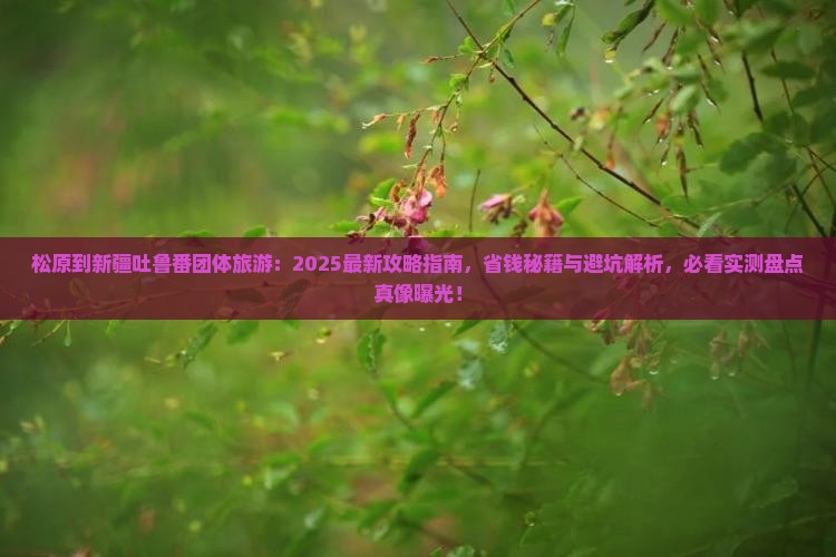 松原到新疆吐鲁番团体旅游