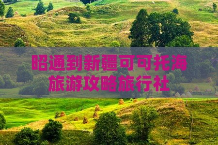 昭通到新疆可可托海旅行社