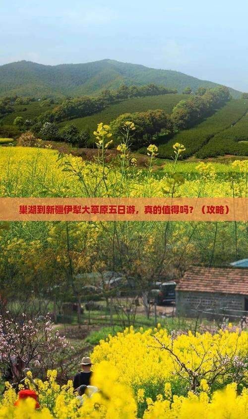 巢湖到新疆伊犁大草原五日游