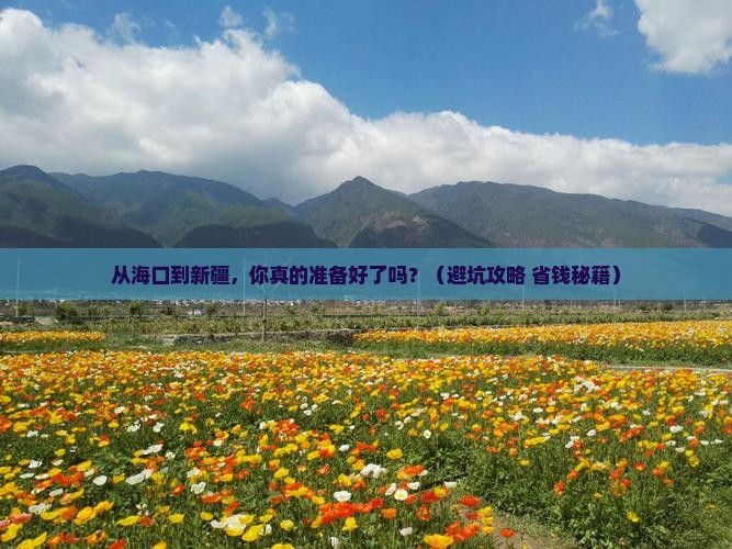 海口到新疆旅游