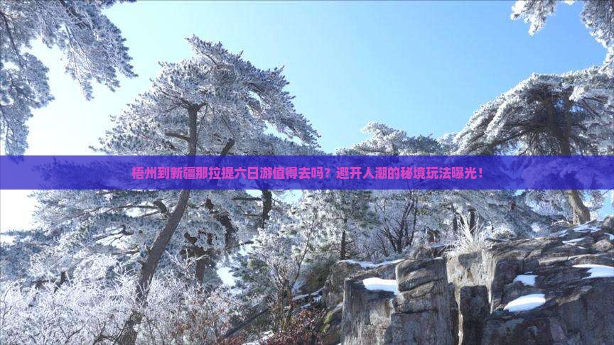 梧州到新疆那拉提六日游
