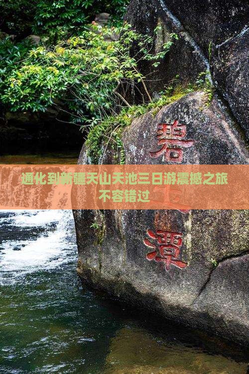 通化到新疆天山天池三日游