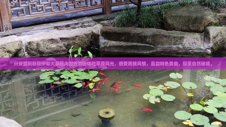 兴安盟到新疆伊犁大草原大型旅游团