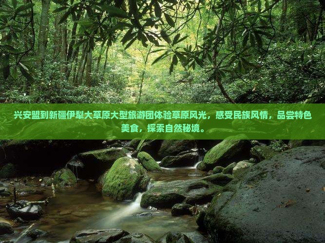 兴安盟到新疆伊犁大草原大型旅游团