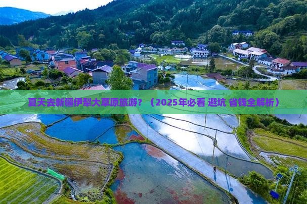 夏天去新疆伊犁大草原旅游