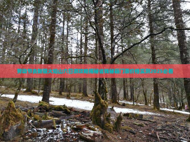 劳动节去新疆火焰山六日游