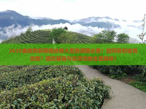 曲靖到新疆喀纳斯大型旅游团