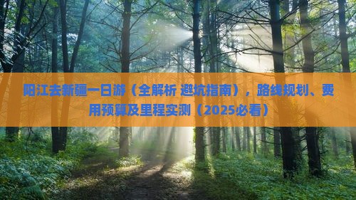 阳江去新疆一日