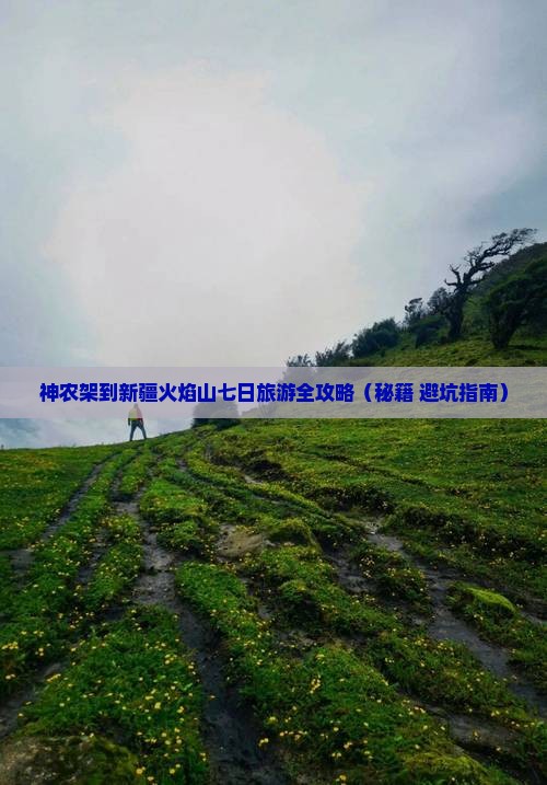 神农架去新疆火焰山七日游