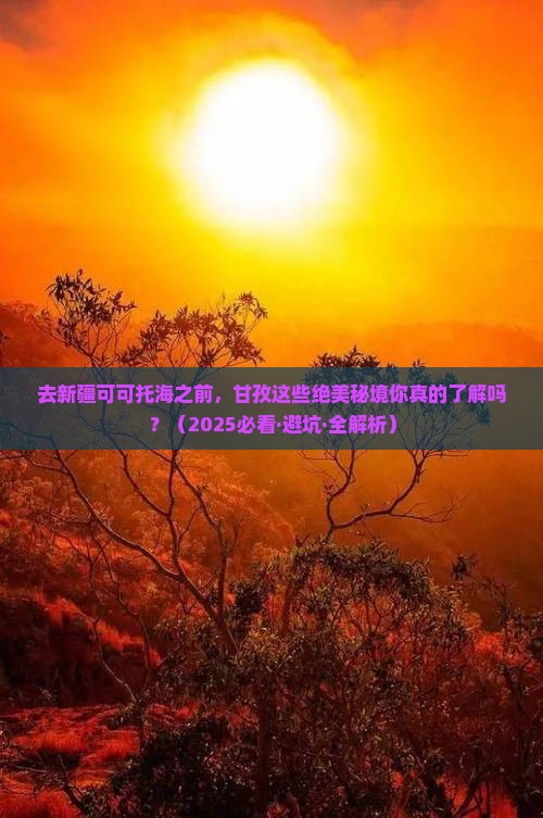 甘孜去新疆可可托海哪里玩