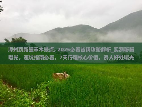 漳州到新疆禾木景点