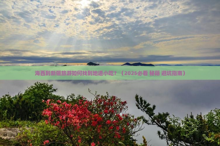 海西到新疆旅游小吃