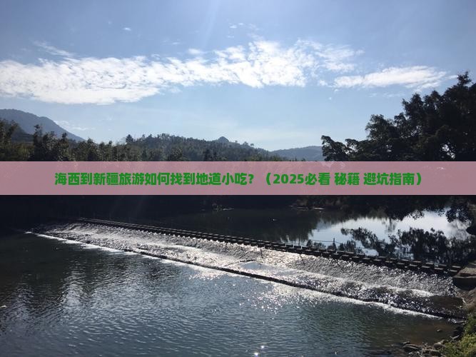 海西到新疆旅游小吃
