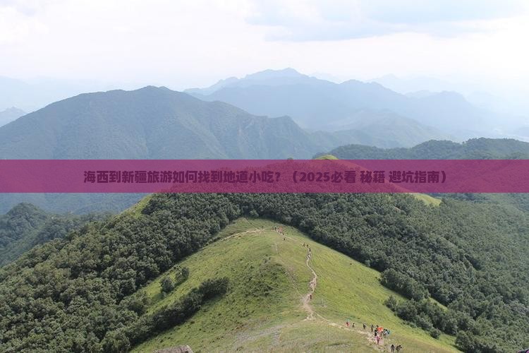 海西到新疆旅游小吃