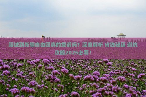 聊城到新疆自由团