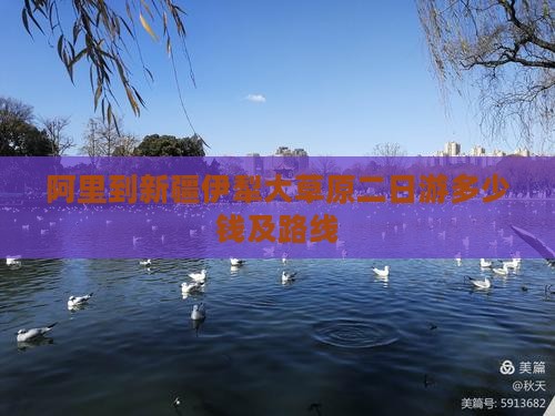 阿里到新疆伊犁大草原二日游