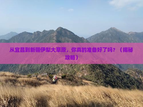 宜昌到新疆伊犁大草原景点