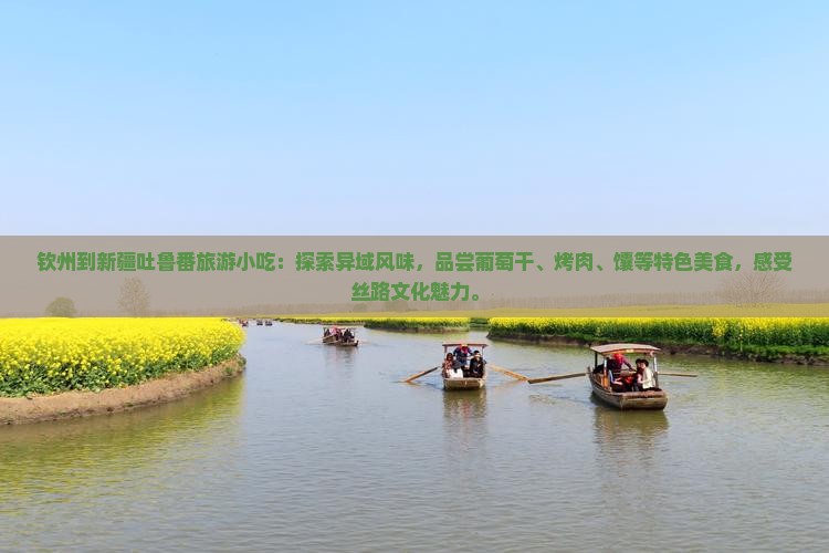 钦州到新疆吐鲁番旅游小吃