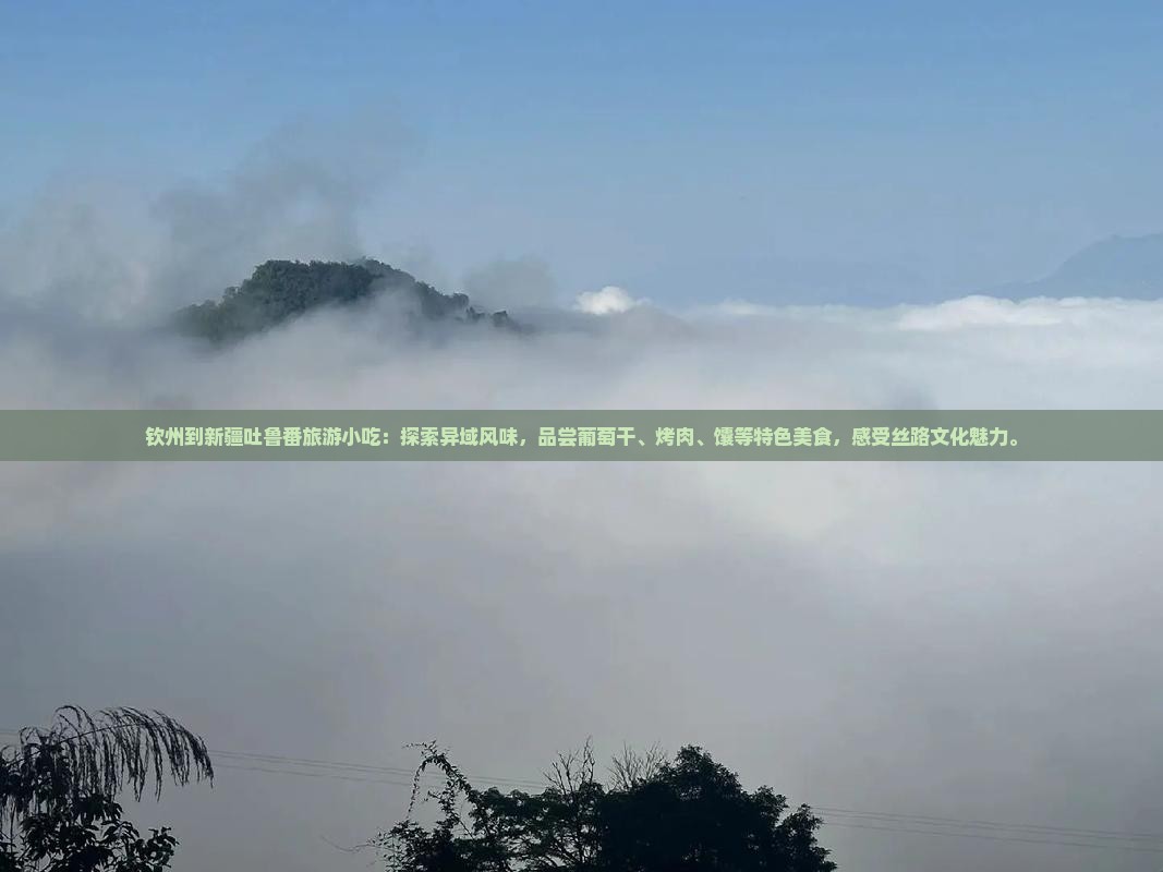 钦州到新疆吐鲁番旅游小吃